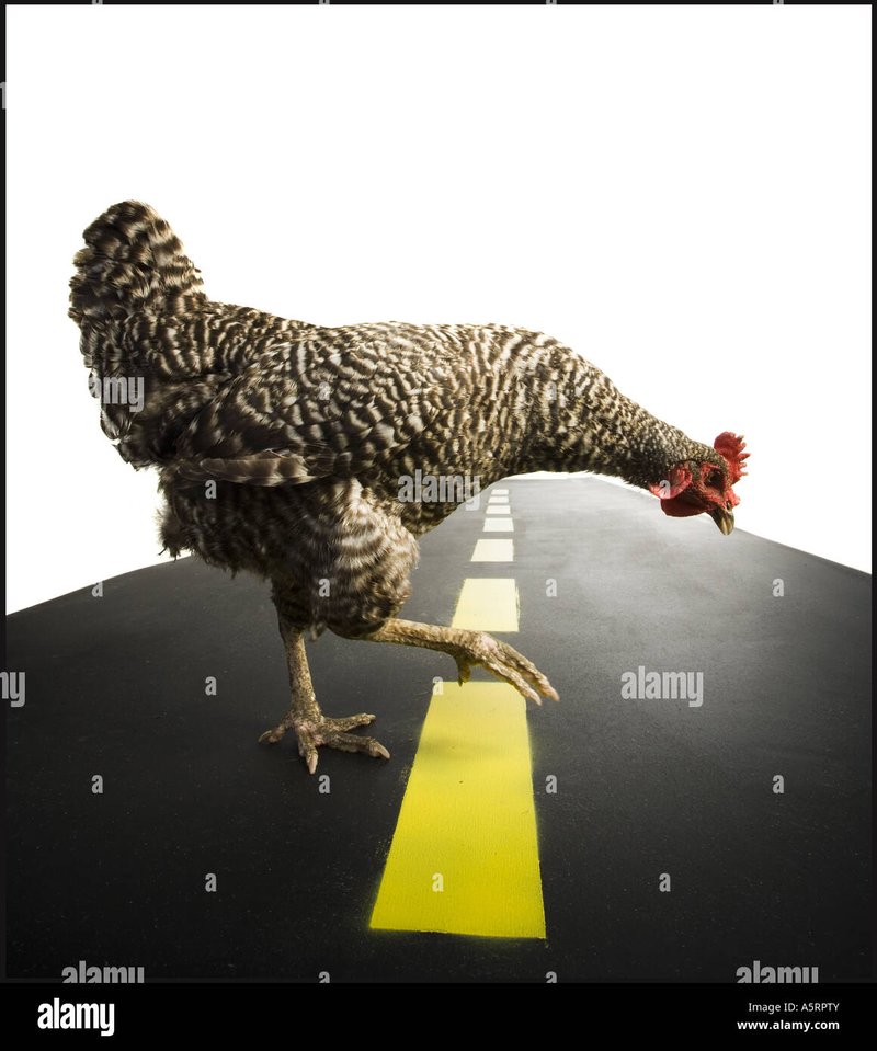 Migliore chicken road online a Italy Migliore chicken road online a Italy