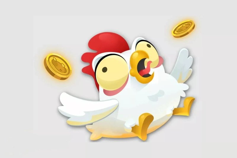 A look at chicken road casino